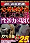 1-08826 公衆肉便器 卑猥な映像 性暴力の現状 3 25人