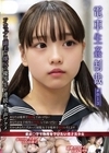 1-12241電車生姦制裁＃013