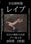 1-13257 ※危険映像レイプノーカット8時間2枚組2