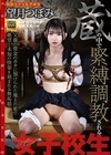 1-13993 蔵の中で緊縛調教される女子校生父親の借金のカタに預けられた地主の家で絶望と未知の快楽を刻まれる無垢娘望月つぼみ